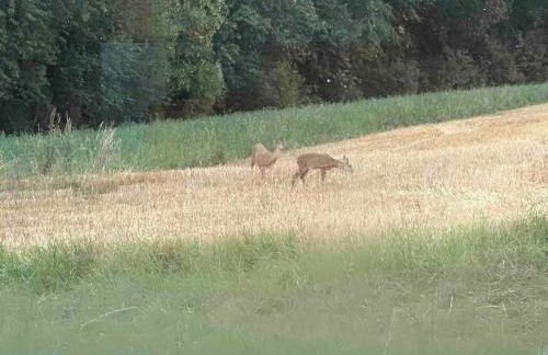 Zeitlberg Panoramawohnung mit PRIVAT SPA - Foto 5