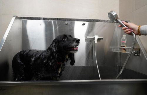 Rock Mill Studio Apartment 16 - Photo 73