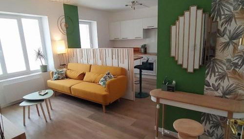 Magnifique T3 centre ville avec WIFI RDC - Foto 1, stove, pet friendly