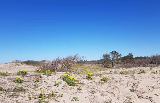 4 Person Holiday Home in Frederiksvaerk - Foto 2