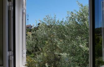 Moradia Albertina - Foto 17