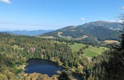 Ferienwohnung 'auf dem Burstel' - Photo 28