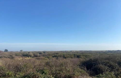 Whitecaps - Photo 11