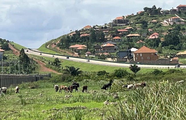 Captivating 3-bed Villa - Photo 43