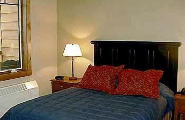 Morning Eagle - Photo 5