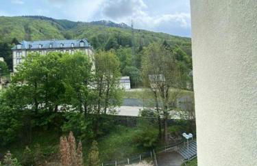 Résidence Ayre - Spacieux T2 proche du centre de Barèges MAE-1601 - Foto 8