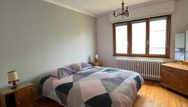 Le Cerisier - Route des vins - Parking et terrasse avec vue sur montagnes et vignoble - Foto 1