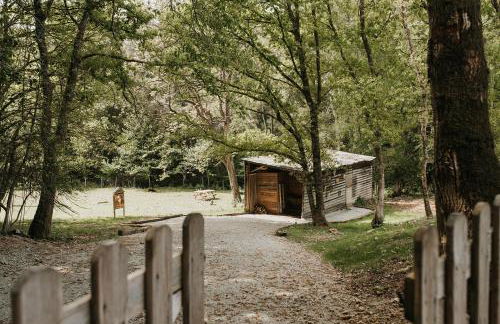 Gîtes du Bulz, en pleine forêt proche de la mer - Photo 46