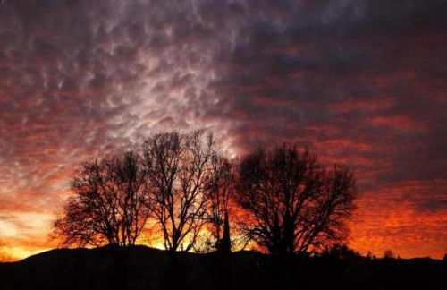 Tuscany Bliss: Garden Retreat - Foto 61