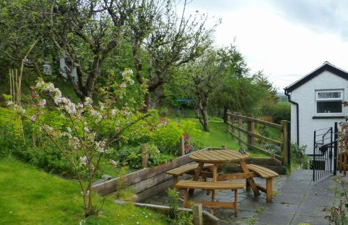 Bryn Ffynnon Holiday Cottage Llanrwst - Photo 12