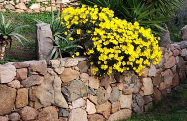 Villa individuelle avec jardin - Foto 6