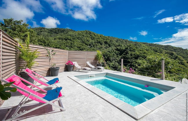 DOMAINE DE MAPOU - Photo 3