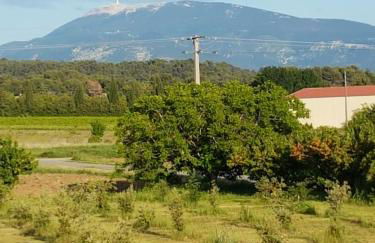 Gite Les Lavandes - Photo 23