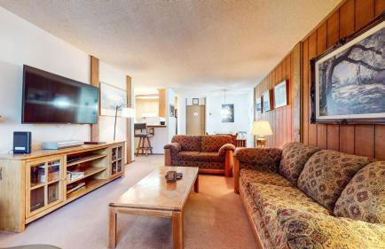 Summit Condominium #267 Condo - Foto 9