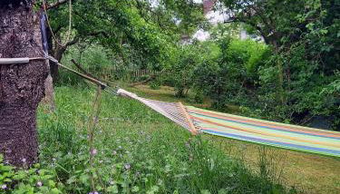 Freilandhof - Foto 2