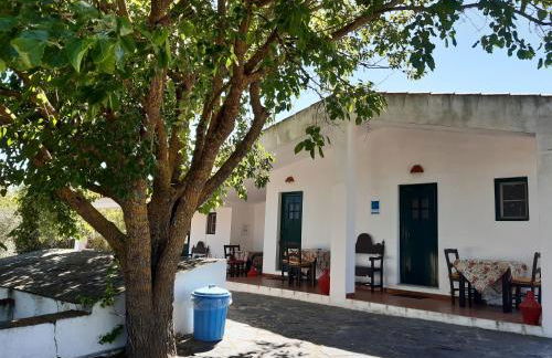 Horta do Muro - Foto 9