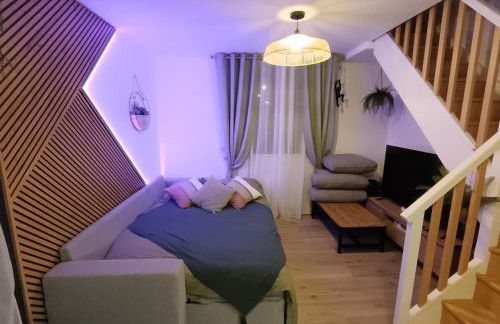 A green setting 15 min from Disney and 40 min from Paris - Foto 10