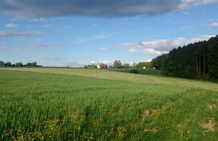 Apartment Haus Maria Waldblick - Foto 59