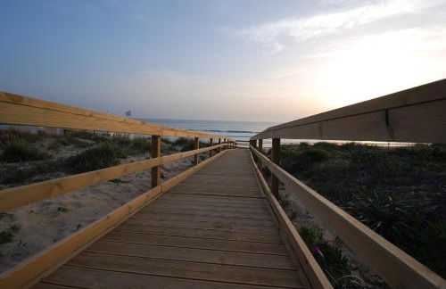 Oasis en la playa - Foto 34