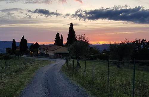 Podere Piana - Foto 13