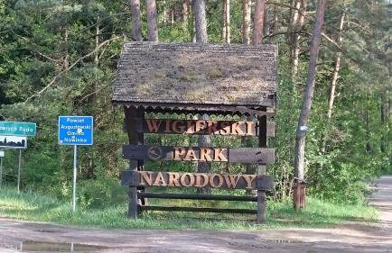 Dom Nad Jeziorem Staw - Foto 24