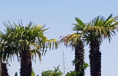 A l'ombre du chêne Piscine & Spa Gîtes Eden en Cévennes à Anduze Gard - Foto 24