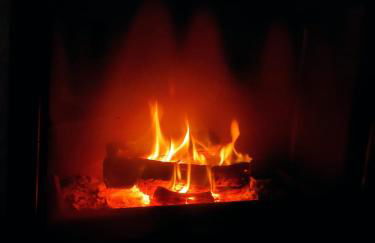 Ferienhaus Blaue Blume mit 11 kW Ladestation, Kamin, Terrasse, eingezäuntem Garten, Sauna, WLAN, Netflix, 2 Hunde willkommen! - Foto 10