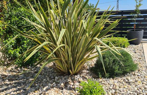 Villa Adriatic Ičići, Apartment Nina with heated swimming pool, ground floor - Foto 32