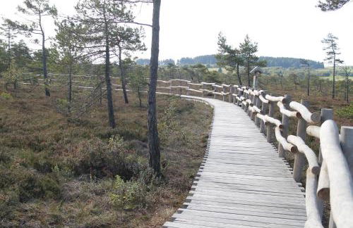 Ferienwohnung Hilders Ortsmitte - Photo 14