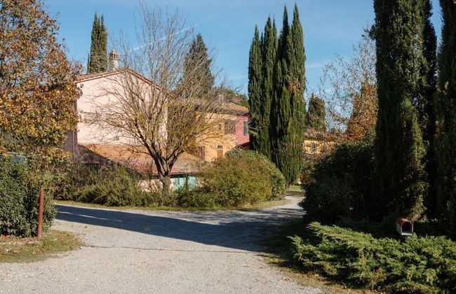 Podere dell'Anselmo - Foto 80