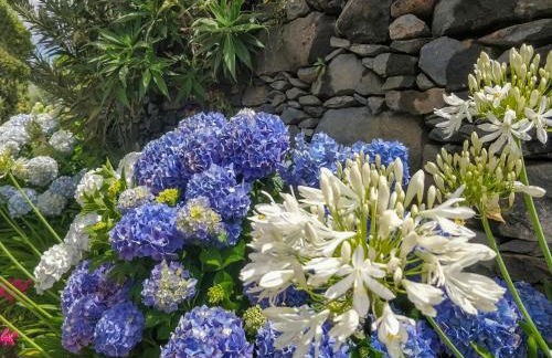 Achadinha - Mountain Cottage - Photo 33