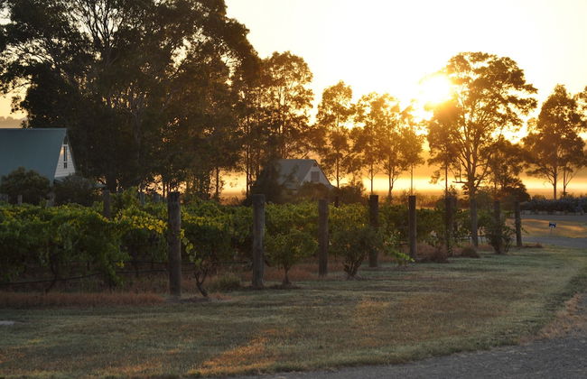 Bracken Ridge Villas - Foto 47