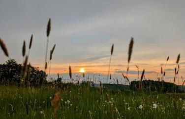 Ferienwohnung Lygri - Foto 16