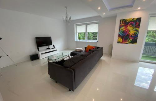 White House Izabelin Family SPA House near Warsaw - Foto 55