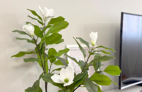 Apartamentos 2K - Apartamento junto al casco viejo - Foto 6