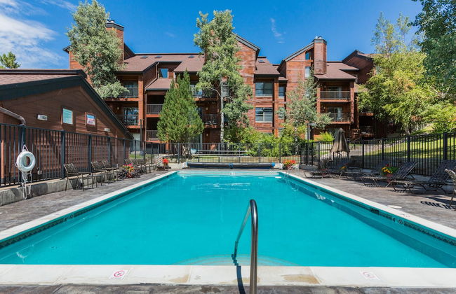 Timber Run - Foto 59