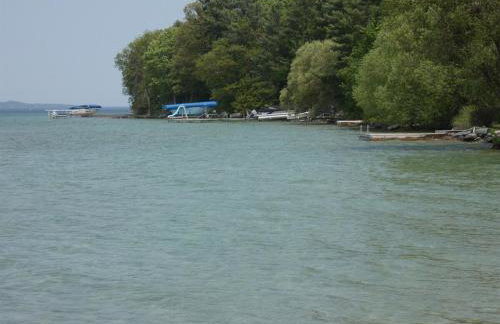 Cranberry Cottage on Torch Lake - Foto 4