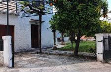 Irene's Guest House - Foto 2