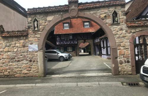 Gîte plain-Pied avec jardin du Centre Alsace - Foto 18