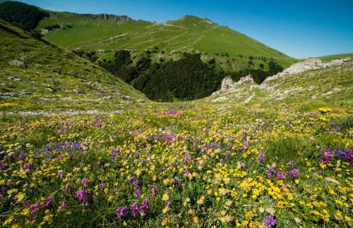 Locanda della Rocca - Foto 50