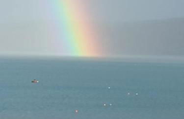 Canad Adar - Song of the Birds - Teifi Valley - Foto 2