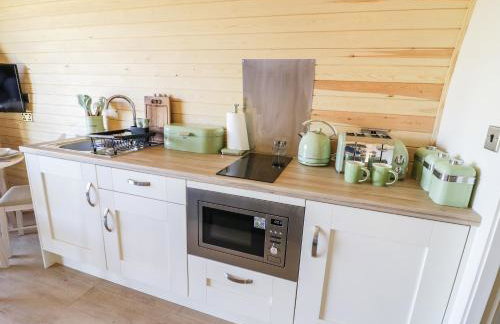 Ailsa Craig - Photo 9