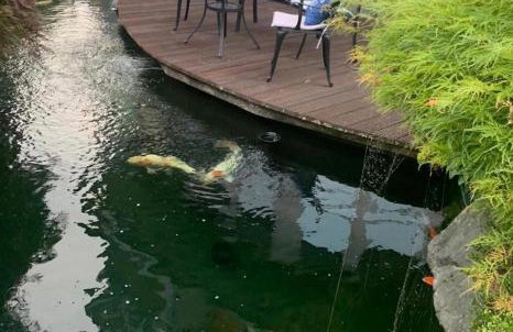 Gemütliche Wohnung in Ortsrandlage - Photo 16