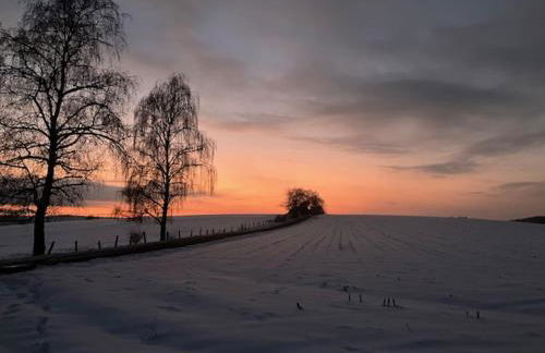 Haus Nr. 9 - Foto 17