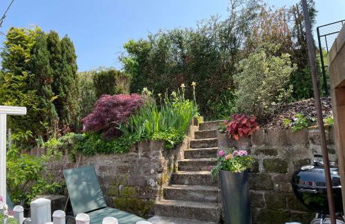 Le Terrier du Katz - Photo 41