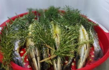 Villa Sucuraj - Foto 41