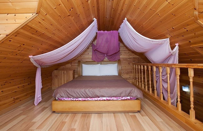 Laviche Pension - Foto 14