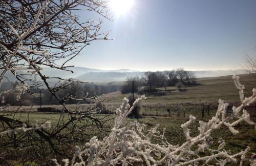 Bauernstube Scheidterhof - Foto 22