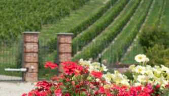 La Giribaldina Winery & Farmhouse - Foto 4