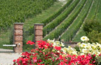 La Giribaldina Winery & Farmhouse - Foto 4